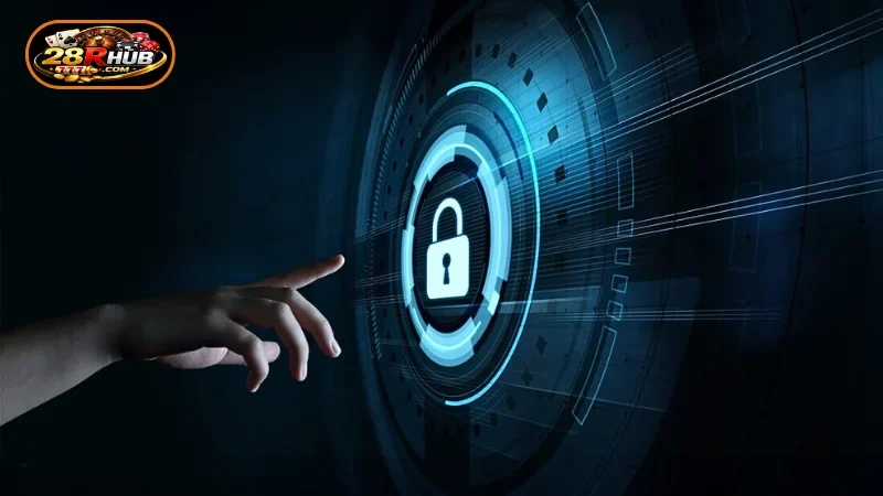 Introducing 28R Privacy Policy